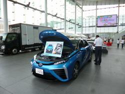 FCV1