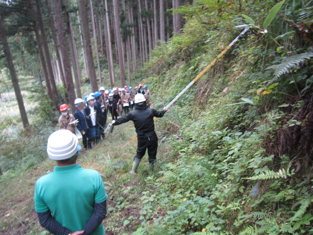 daigaku1