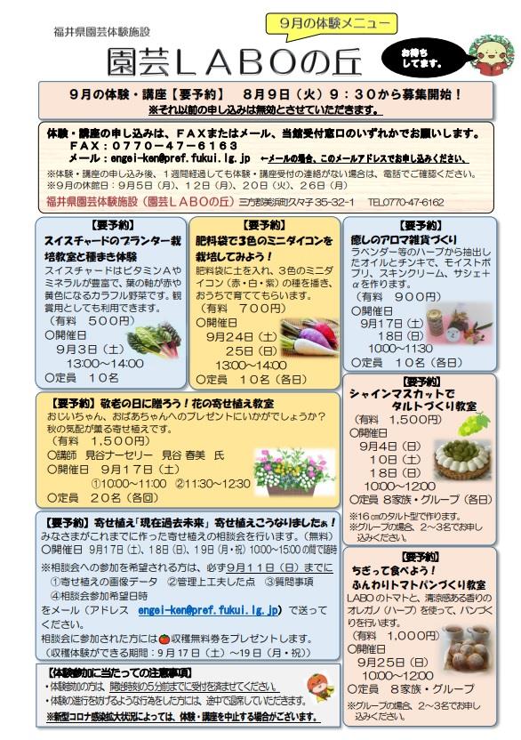 ９月チラシ表