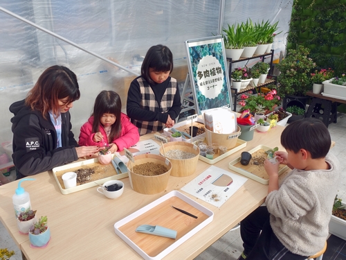 多肉植物の植え替え(いつでもできる体験)