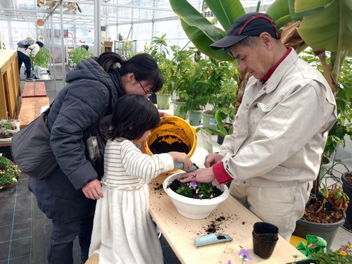 お花のプチ寄せ植え(土曜限定体験)