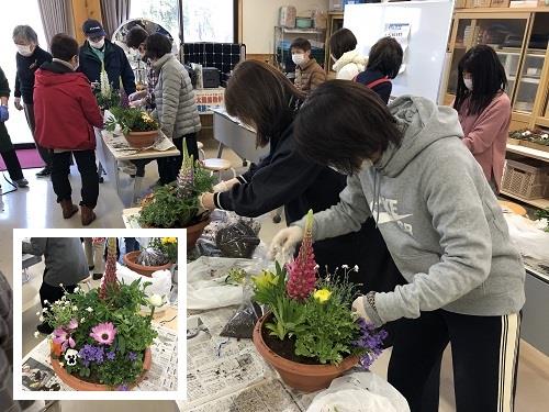 春花の寄せ植え教室