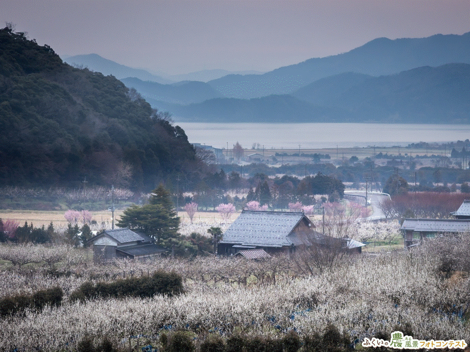 第6回ふくいの農ある風景フォトコンテスト