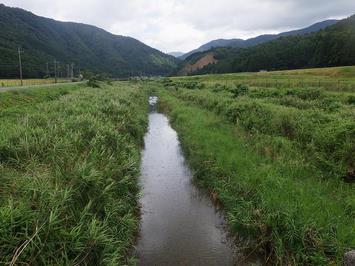 松永川_施工前_紅梅谷橋より上流を望む