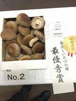 siitake1