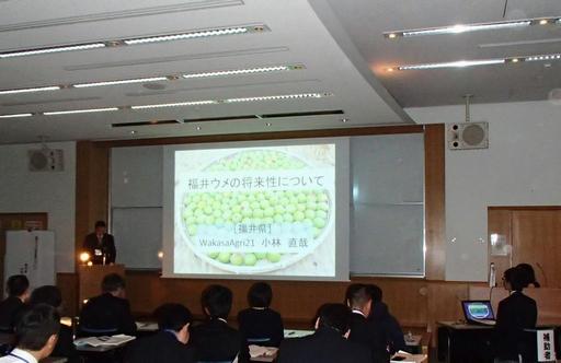 プロジェクト発表