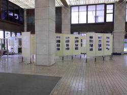 福井市役所でのパネル展の様子