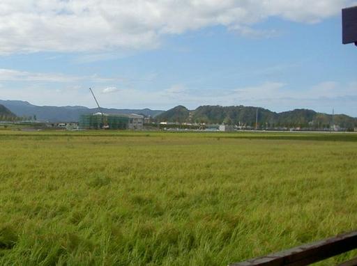 30年9月高架橋（福井市下河北）