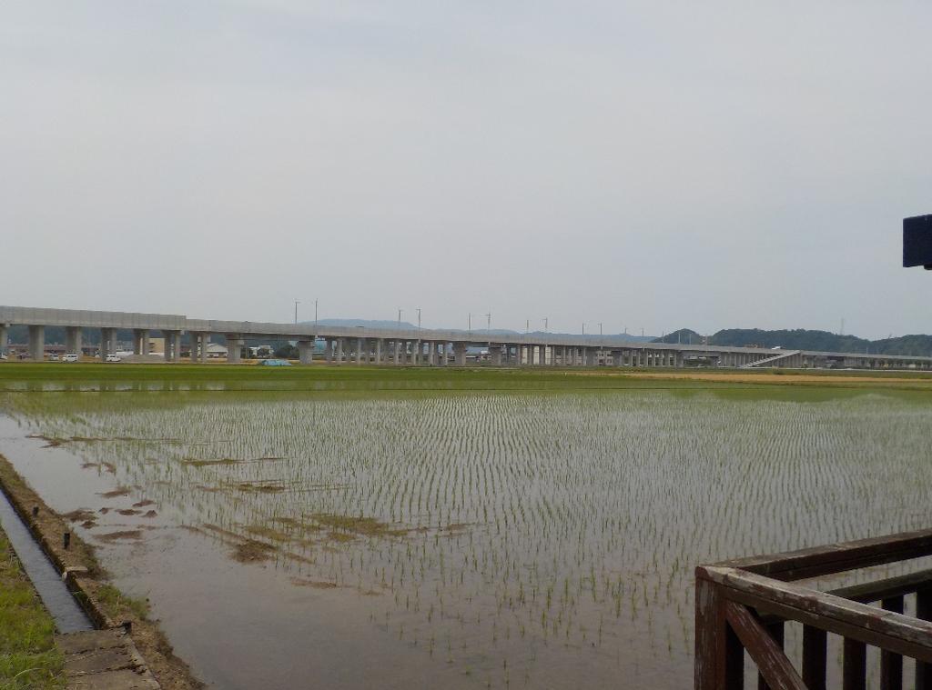 R3年6月高架橋（福井市下河北）