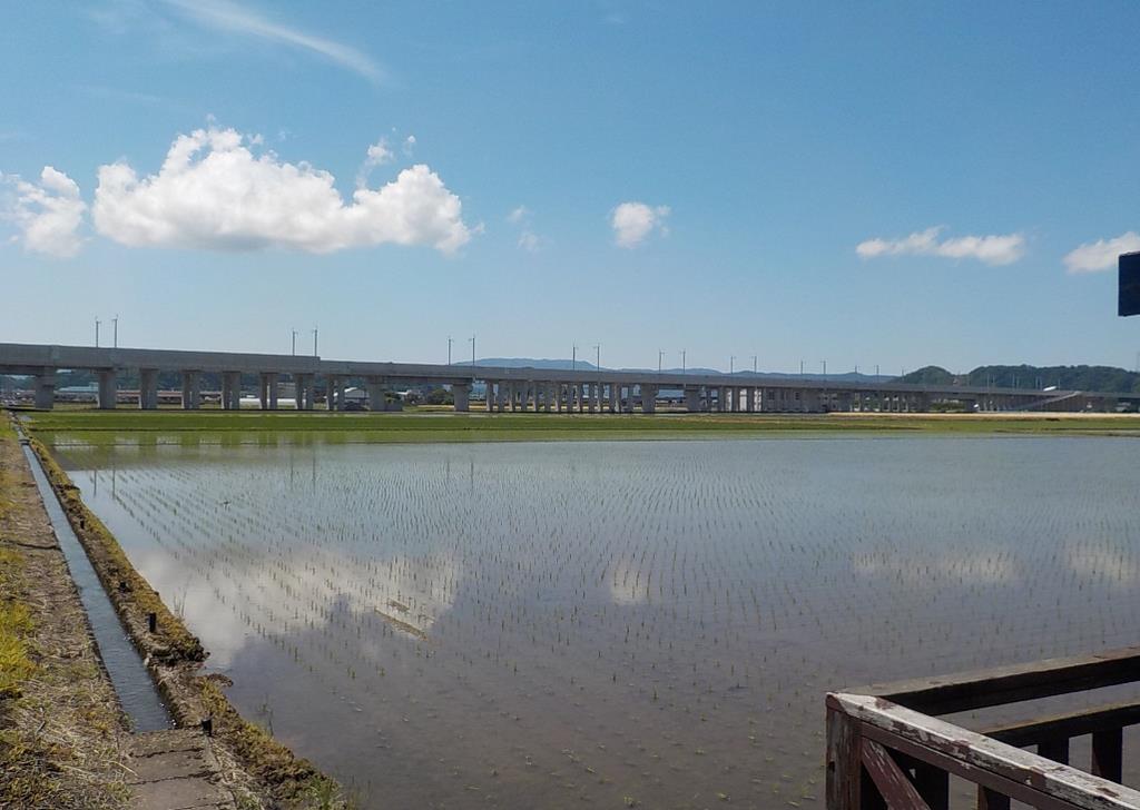 R4年5月高架橋（福井市下河北）