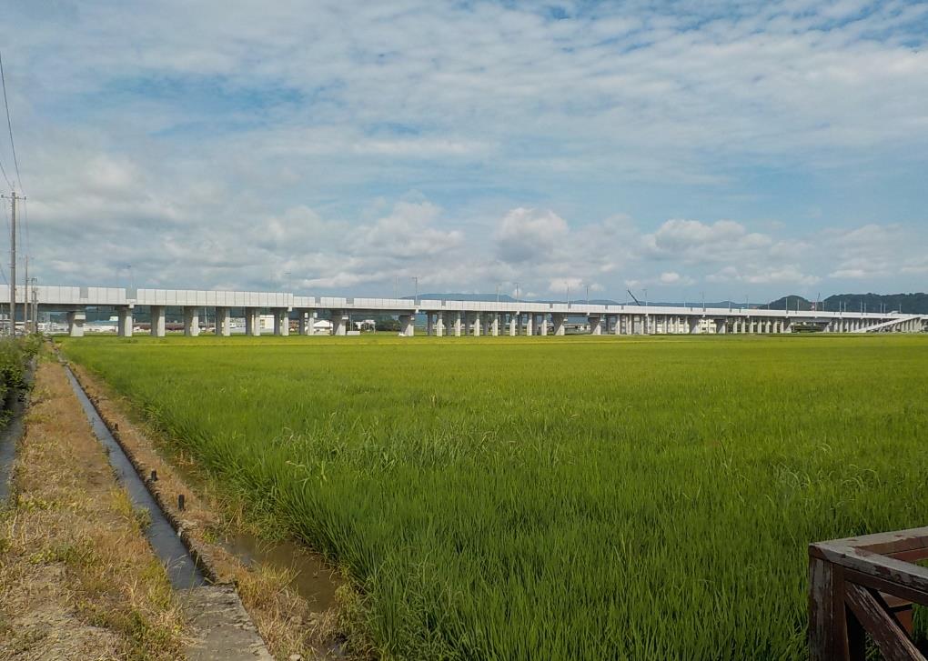R4年7月高架橋（福井市下河北）