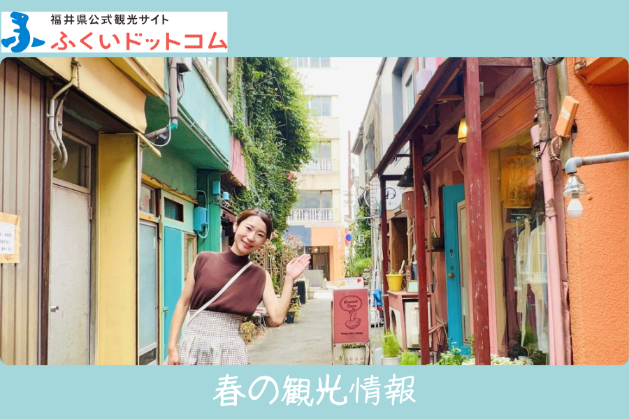福井県公式観光サイト ふくいドットコム